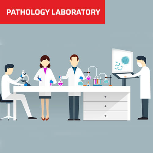 Pathology Laboratory